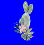 植物水彩画
