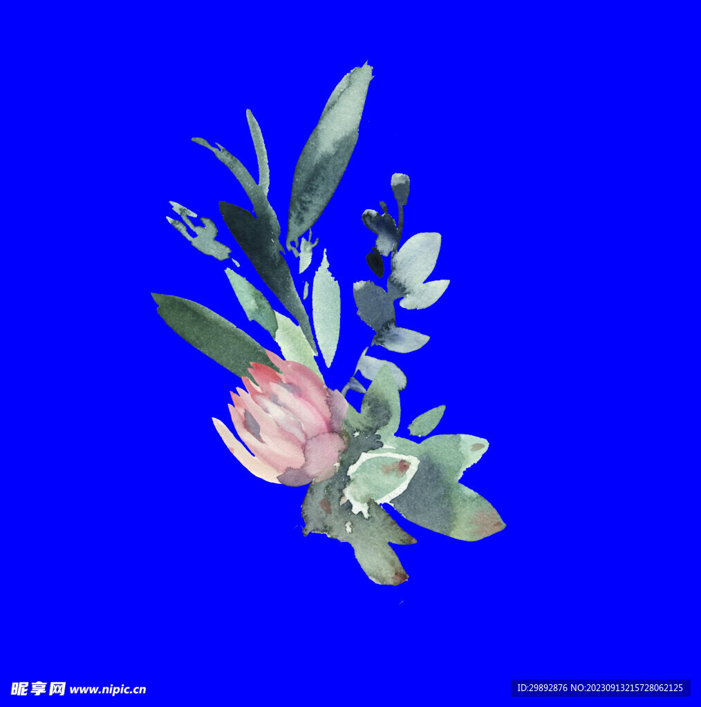 植物水彩画