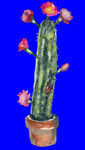 植物水彩画