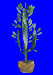 植物水彩画