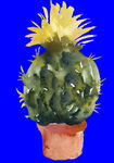 植物水彩画