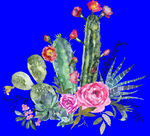 植物水彩画