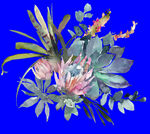 植物水彩画