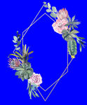 植物水彩画