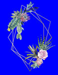 植物水彩画
