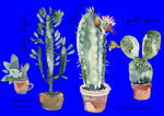 植物水彩画