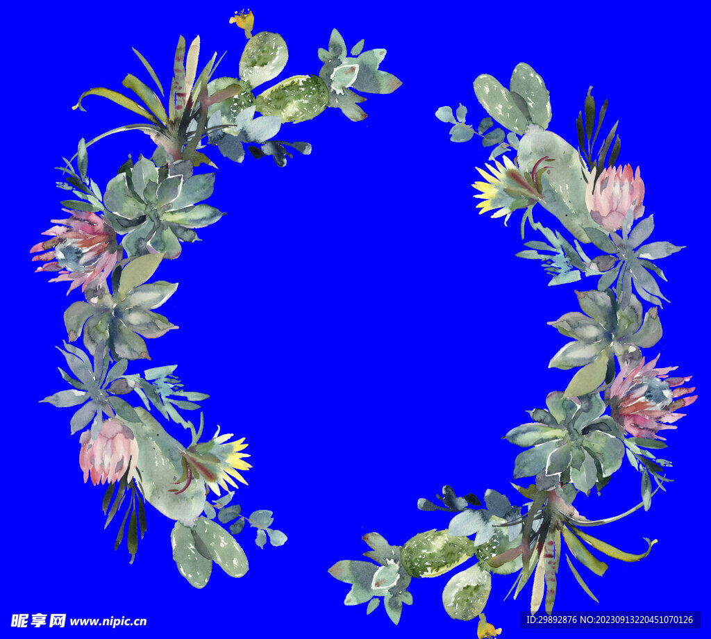 植物水彩画