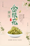 金银花海报