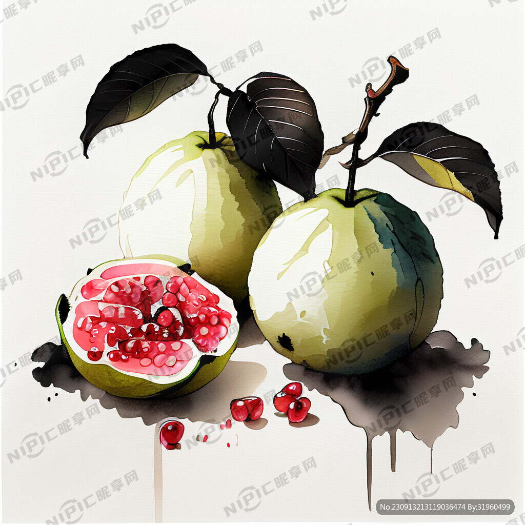 白肉番石榴国潮插画
