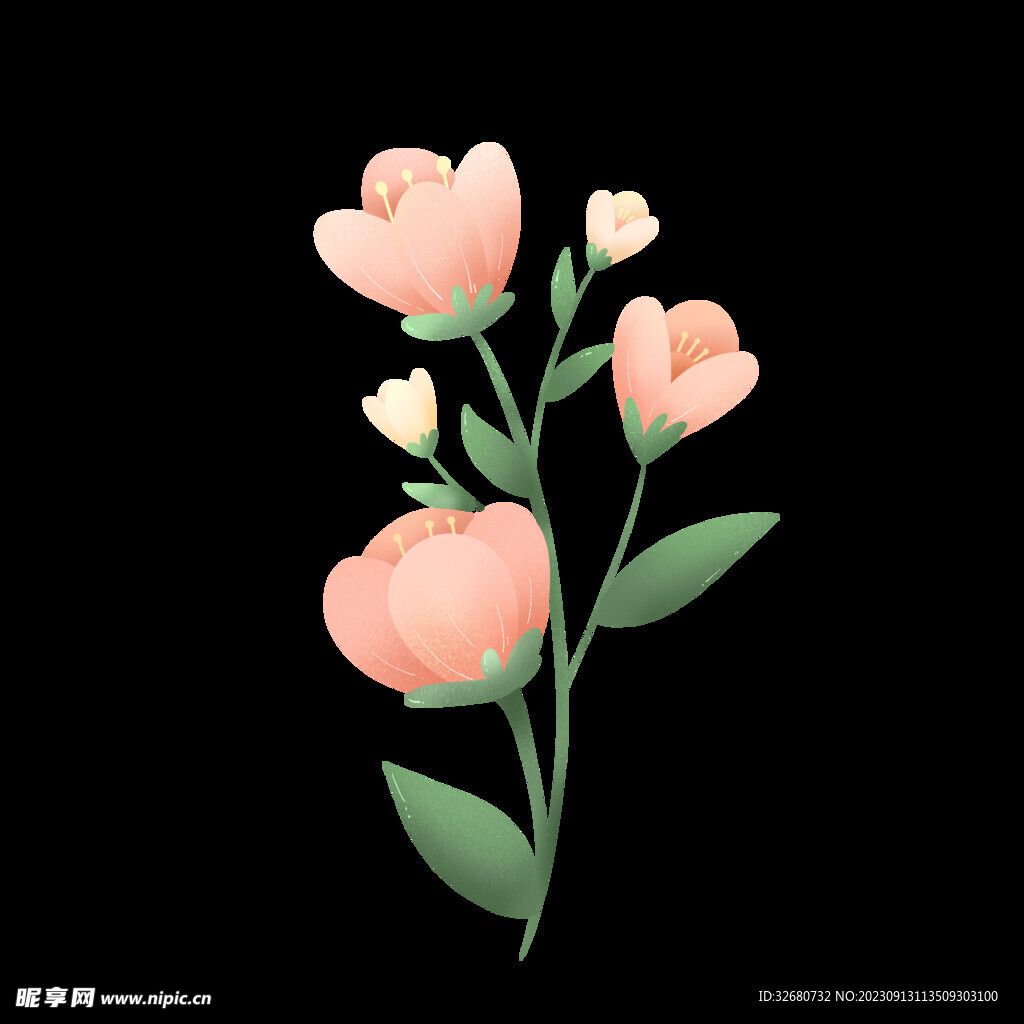 手绘花草