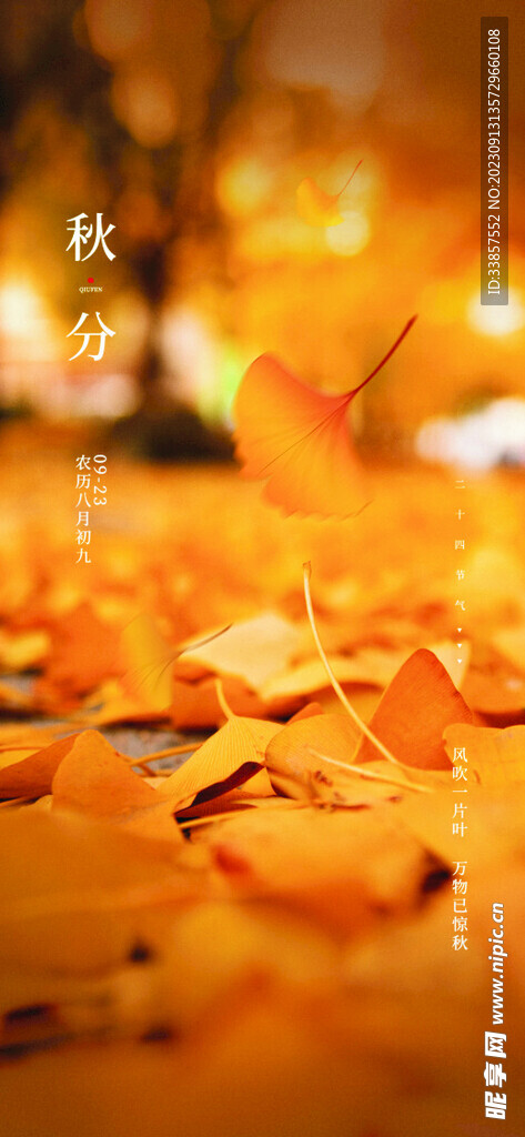 秋分海报           