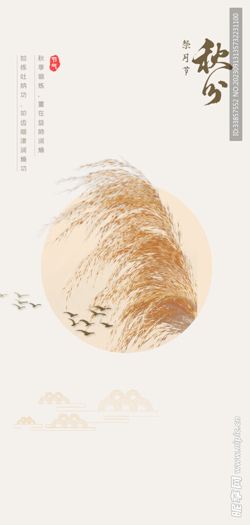 秋分海报           