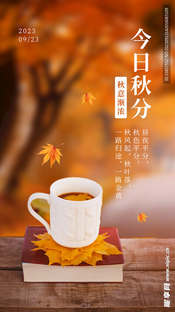 秋分海报           