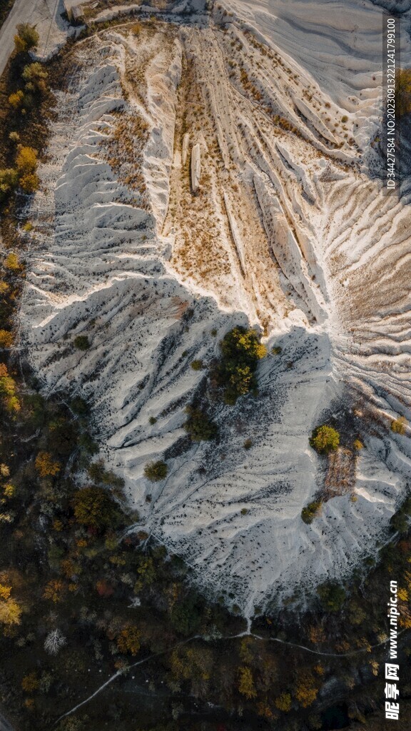 航拍雪山和树林