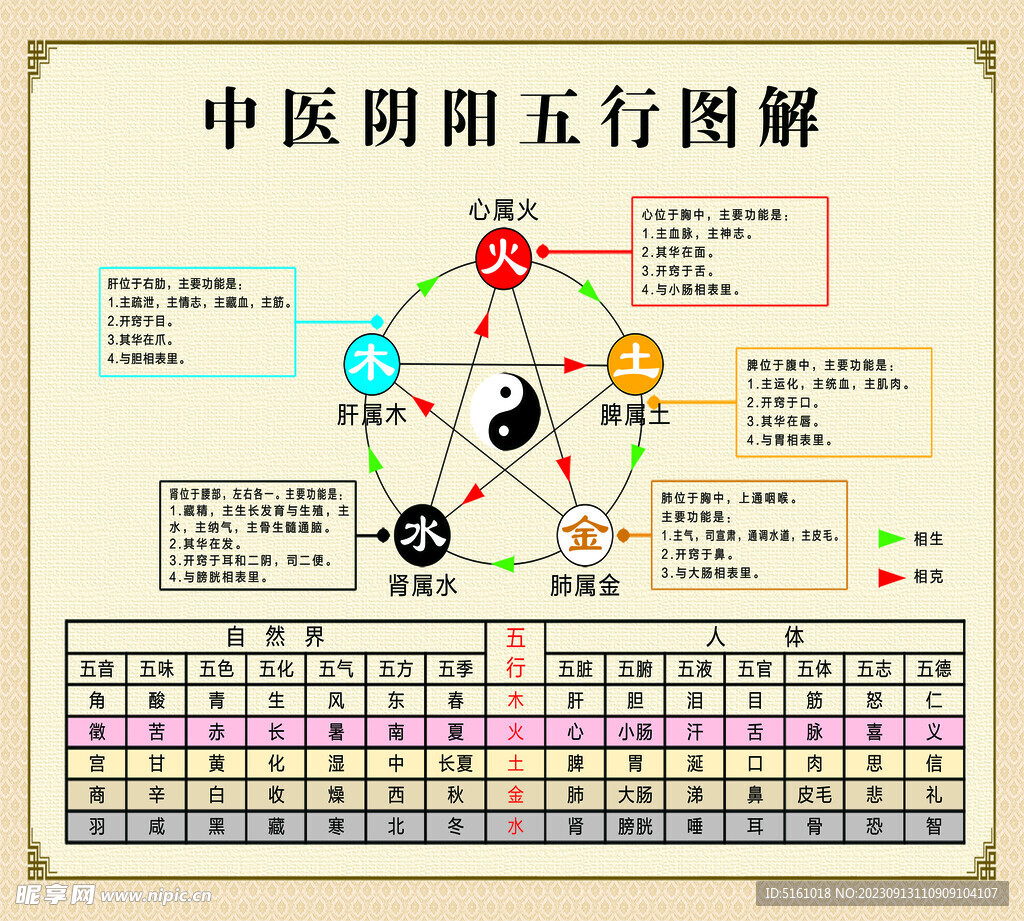 中医阴阳五行图解