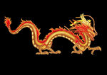 龙