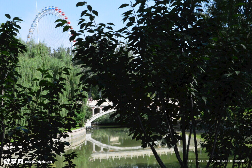 公园风景