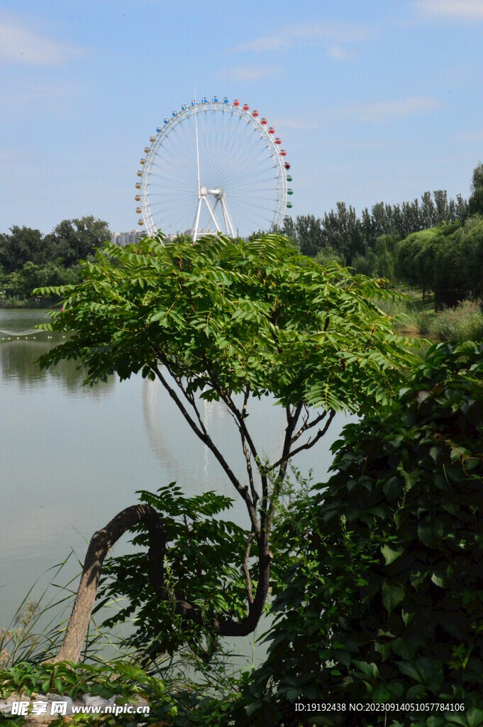公园风景 