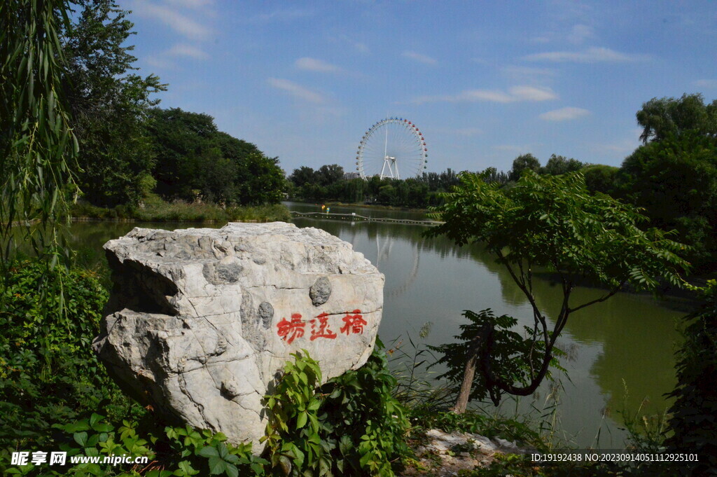公园风景
