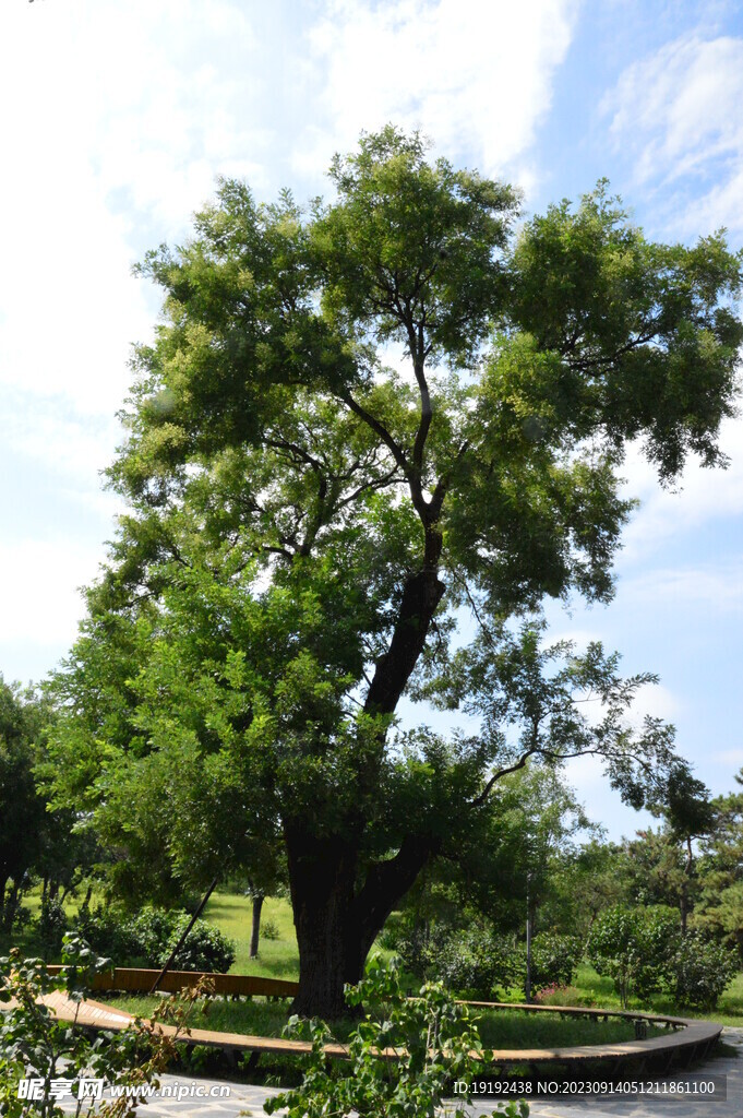 公园风景 