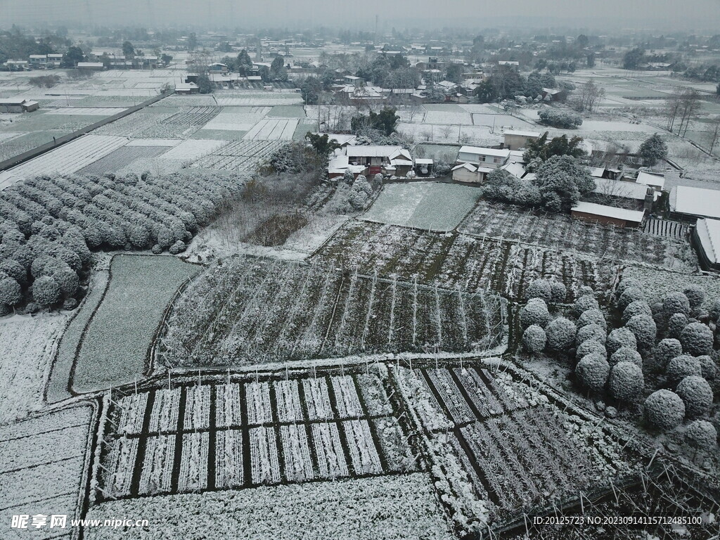 郊区农村