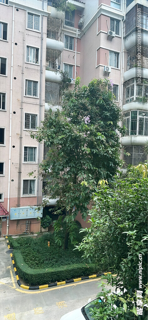 居民楼