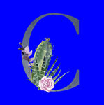 水彩拼音字母
