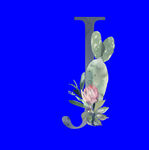 水彩拼音字母