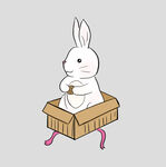 中秋玉兔月饼