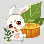 中秋玉兔月饼