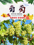 葡萄