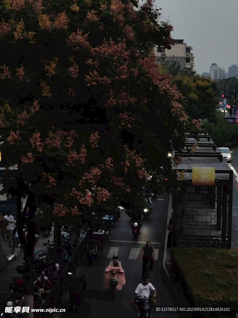 晚归