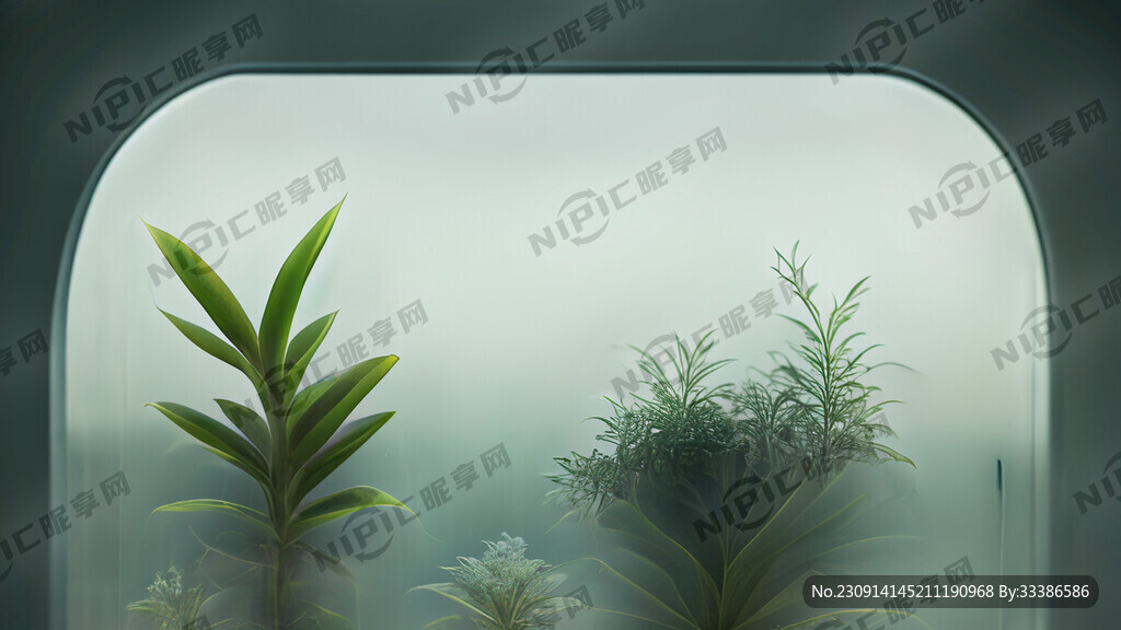 植物摆放在磨砂玻璃后面