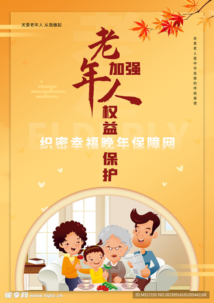 老年人保护权益