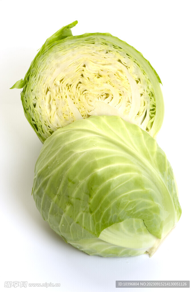 卷芯白菜