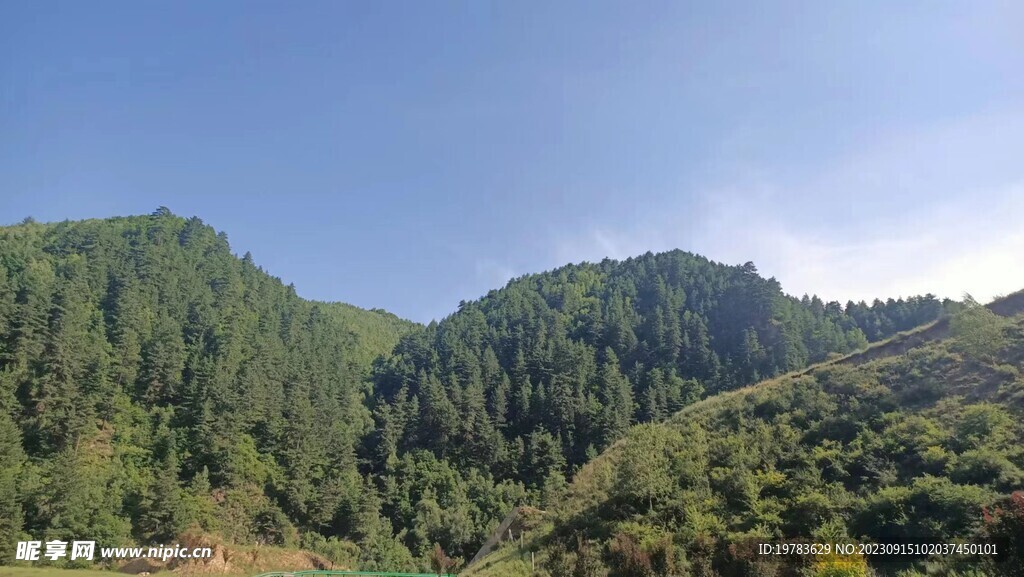 青山