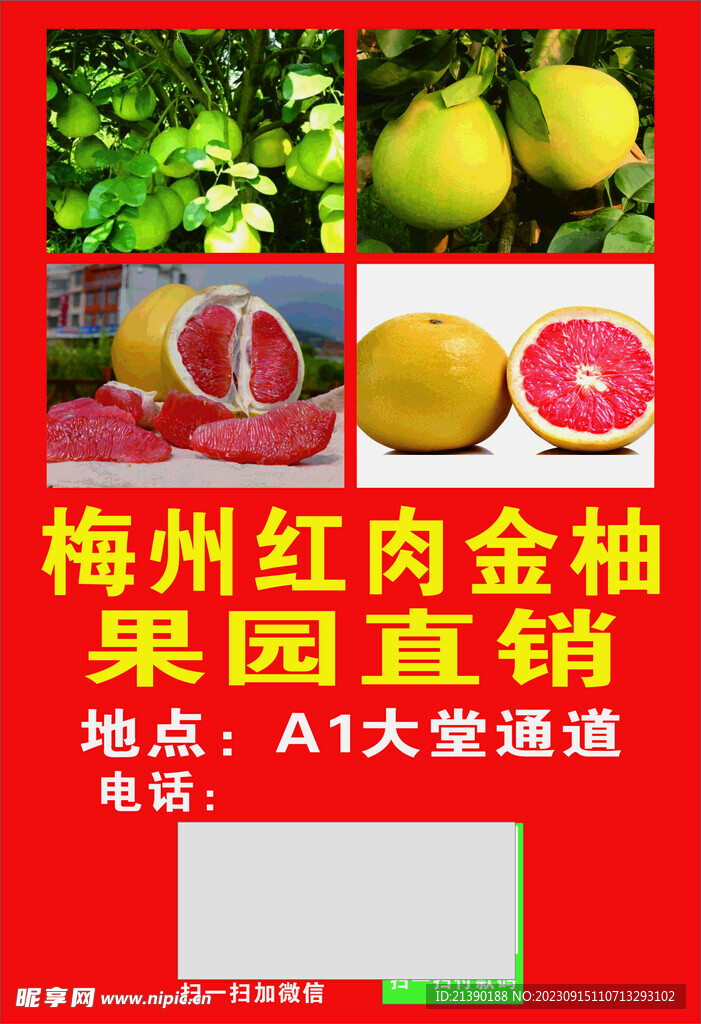 柚子广告