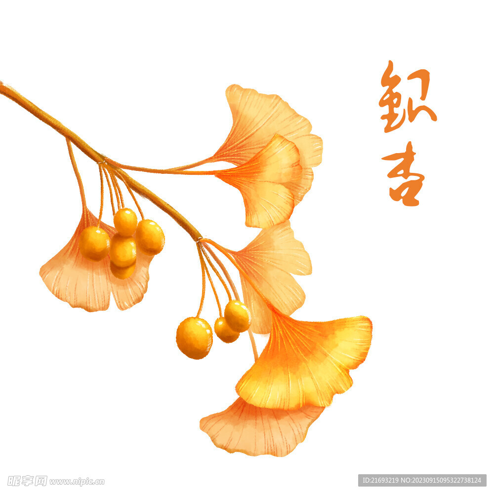  银杏叶挂画