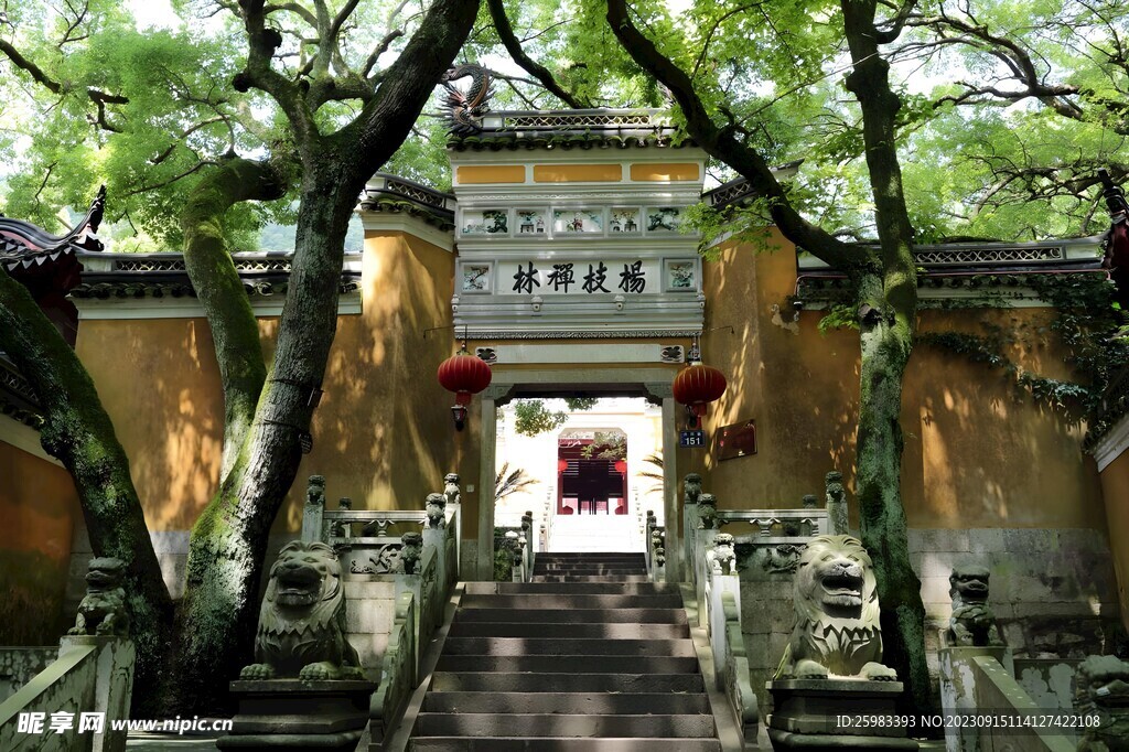 杨枝禅林