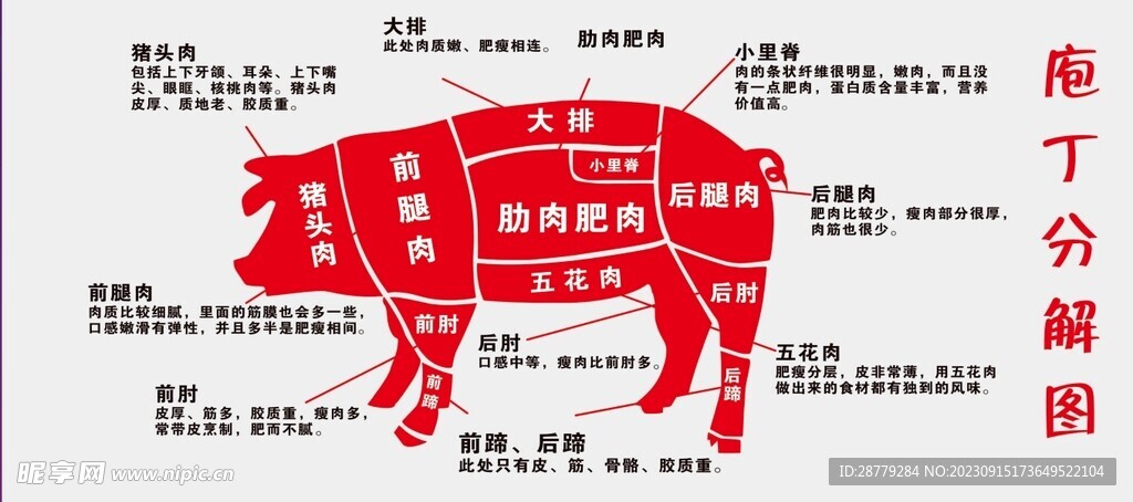 猪肉分解图