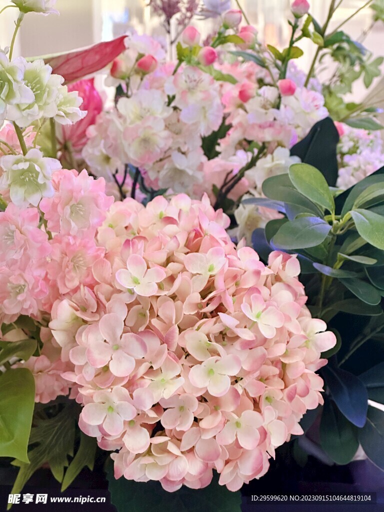 干花