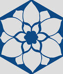 青花瓷花纹