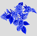 青花瓷花纹