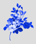 青花瓷花纹
