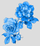 青花瓷花纹