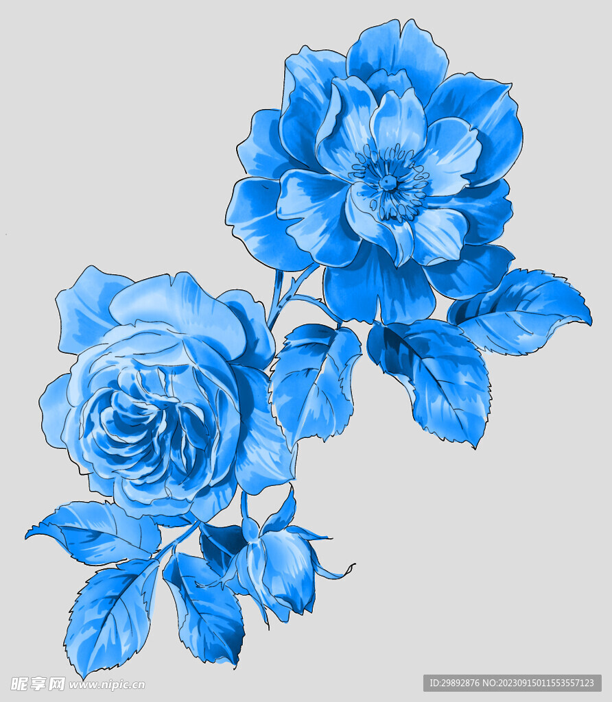 青花瓷花纹