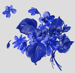 青花瓷花纹