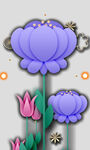 牡丹花卉