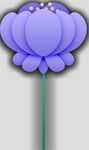 牡丹花卉