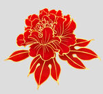 牡丹花卉